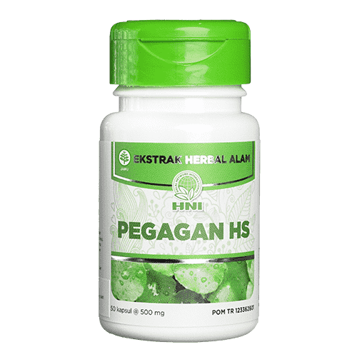 PEGAGAN HS
