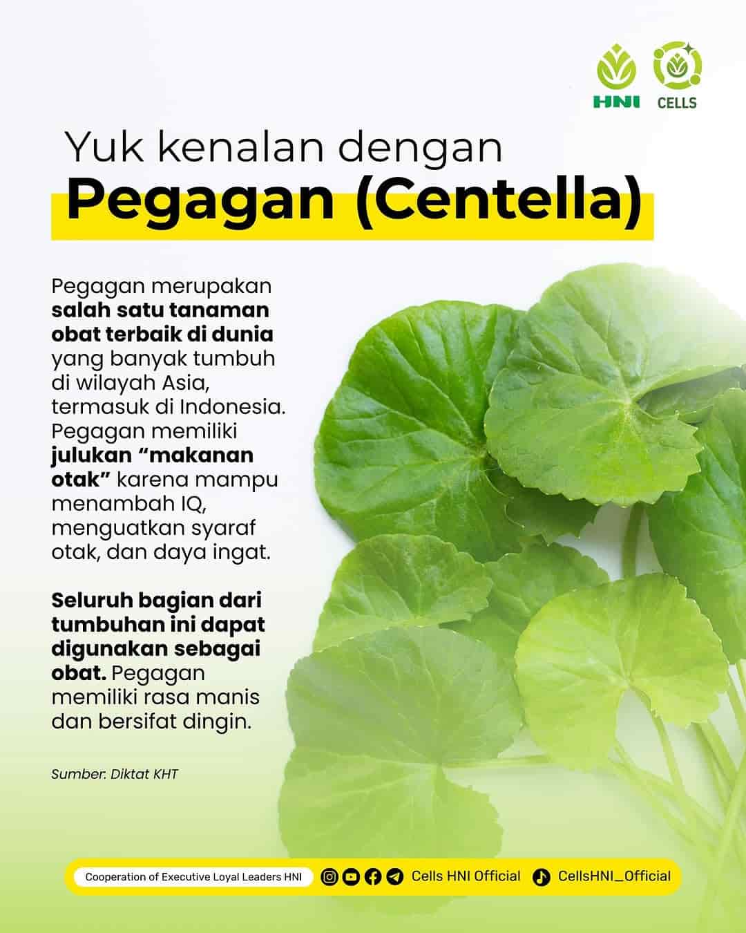 Foto KELOSIN