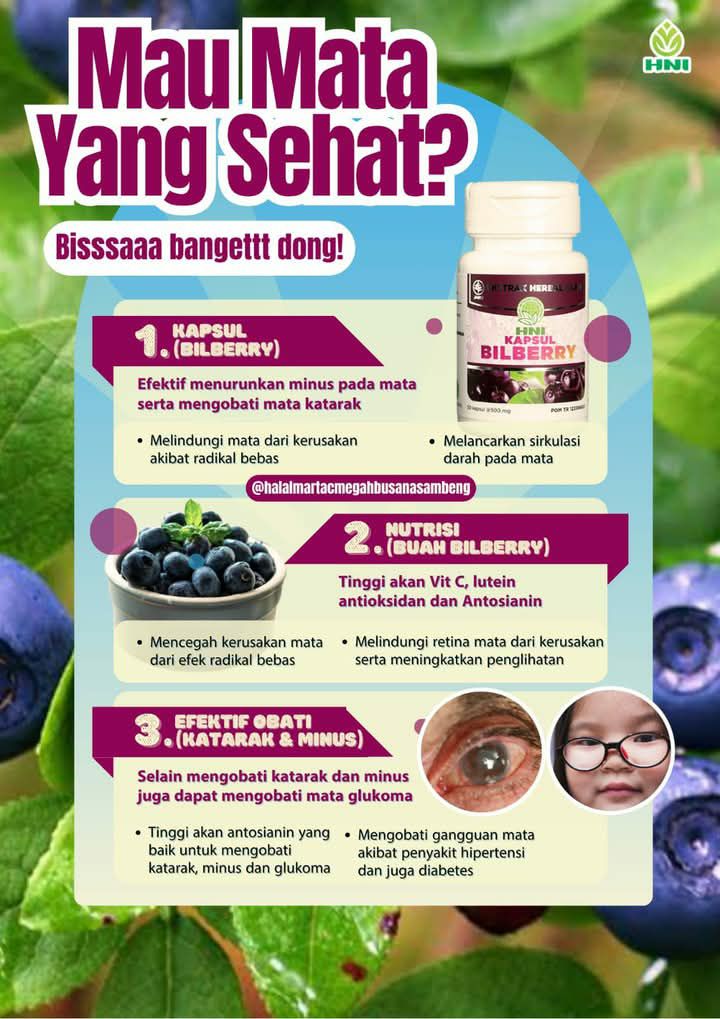 Foto BILBERRY