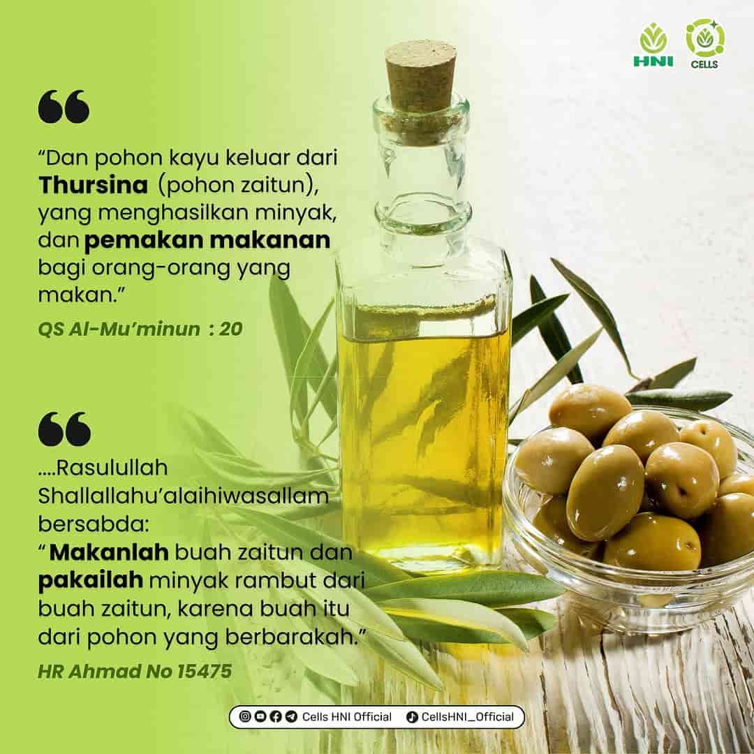 Foto MINYAK ZAITUN SOFTGEL