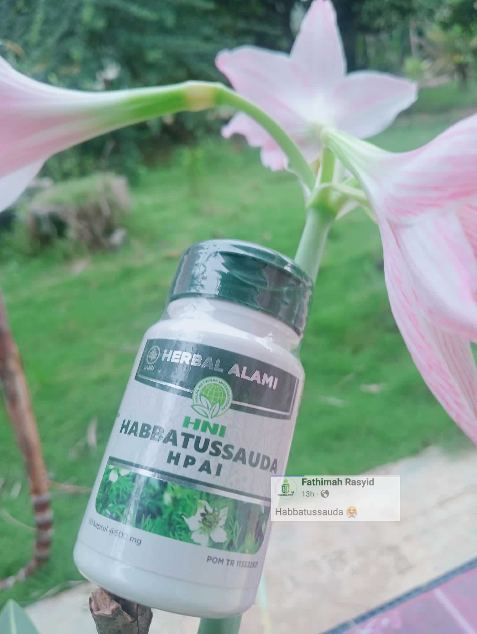 Foto HABBATUSSAUDA KAPSUL