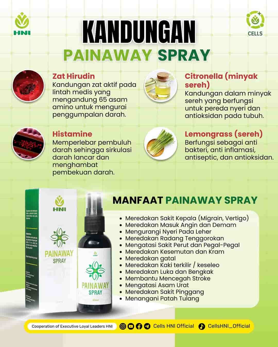 Foto PAIN AWAY SPRAY