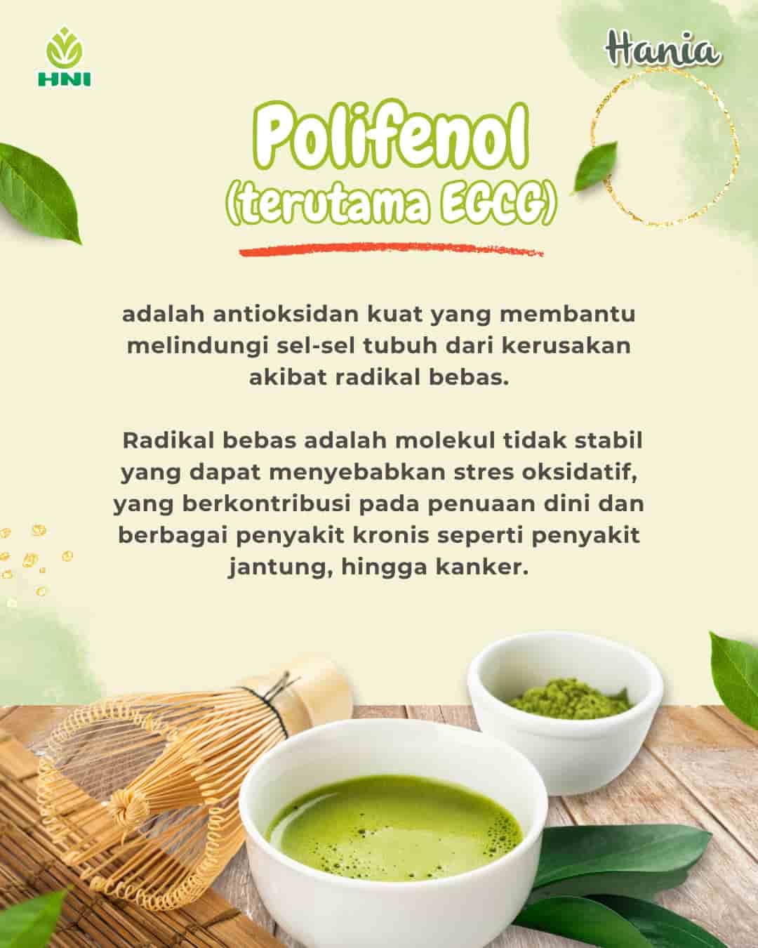 Foto HANIA MATCHA