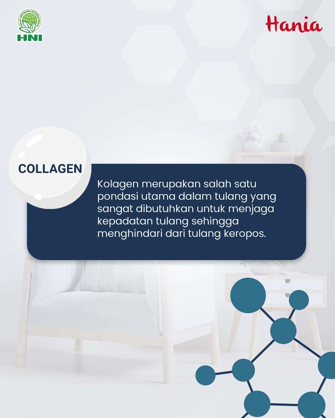 Foto HANIA REALCO GINGSENG