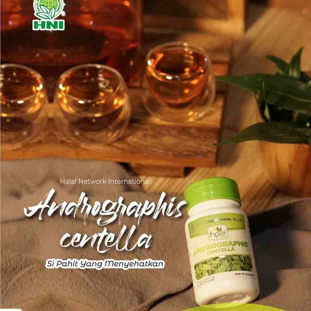 Foto ANDROGRAPHIS CENTELLA