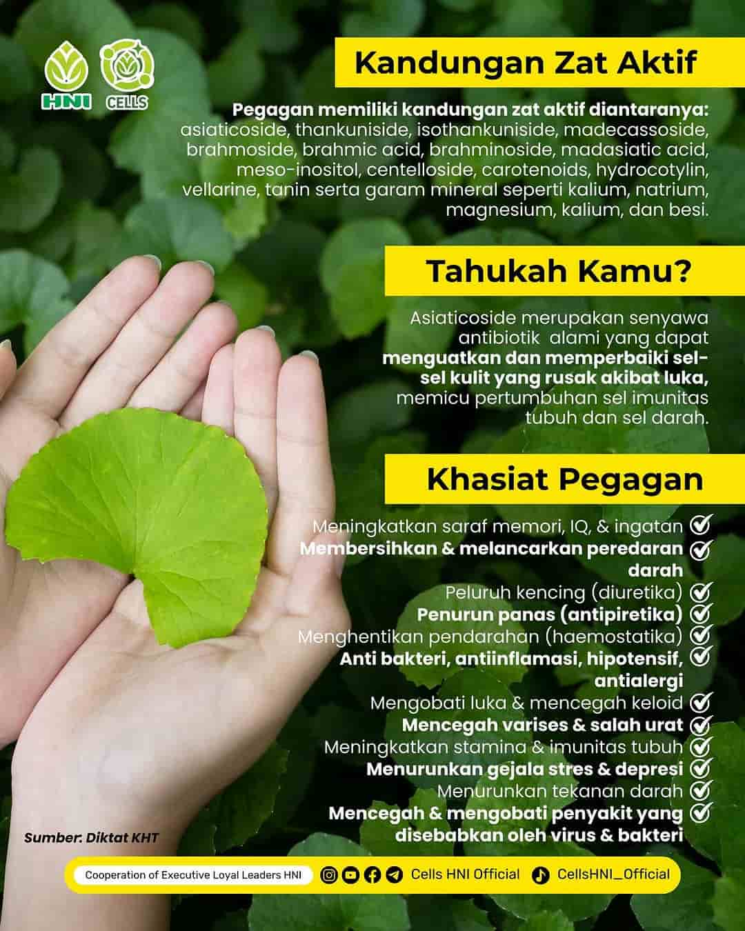 Foto KELOSIN