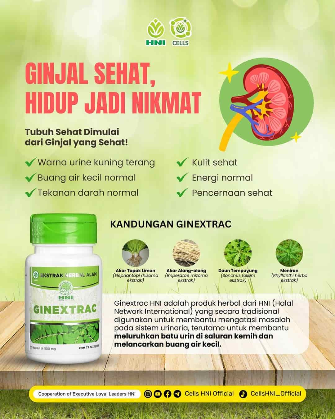 Foto GINEXTRACT